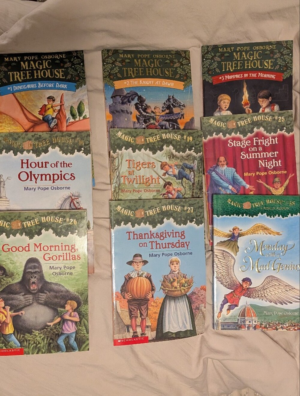 Magic Tree House Books Assortment - Lot Of 9